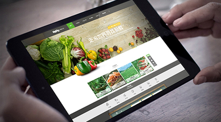 農業類商城網站建設開發制作解決方案 打造一站式互聯網銷售平臺